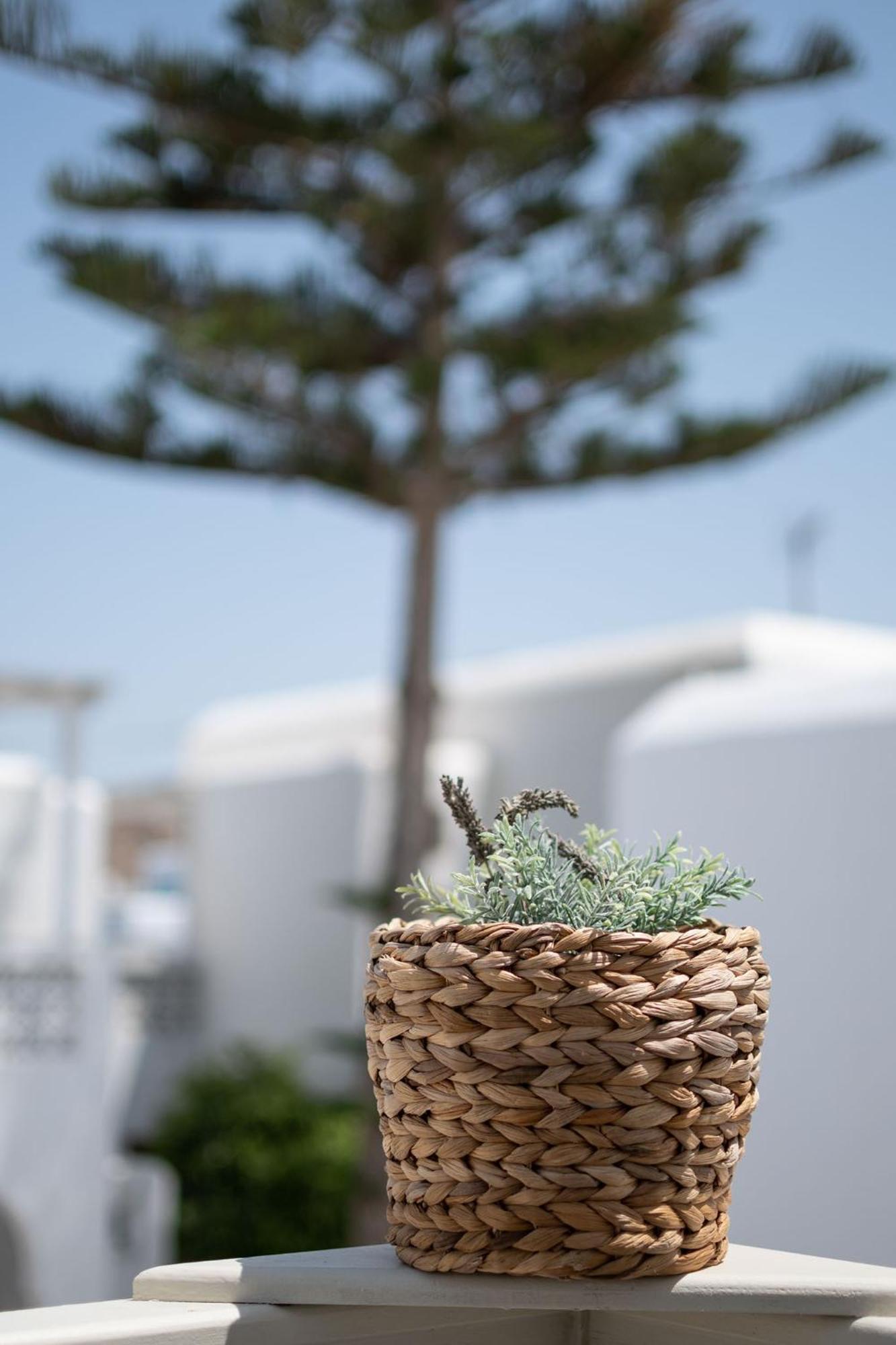 Twins-Trisa Apartments Ornos (Mykonos) Exterior foto